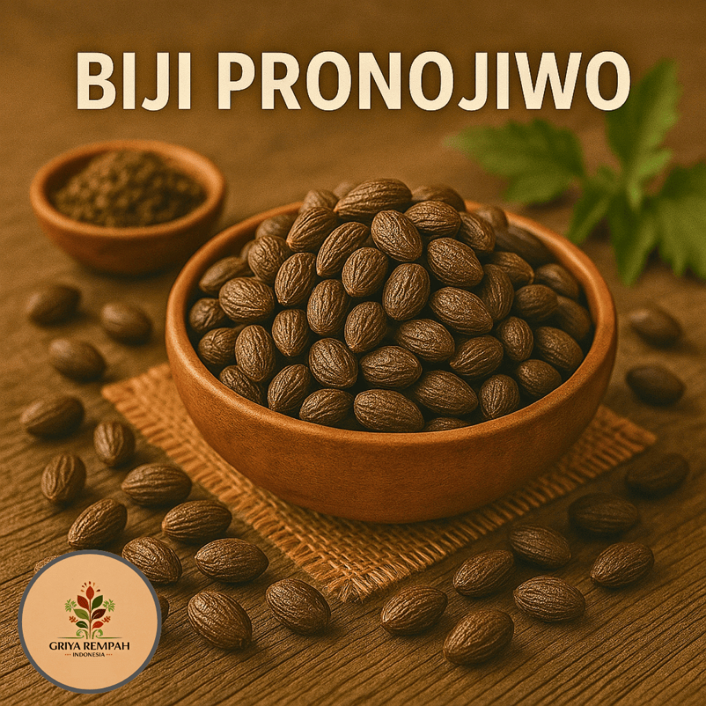 

PRONOJIWO KERING 1 KG Biji Pranajiwa Rempah Herbal Simplisia Alami untuk Kesehatan & Ramuan Kering Jamu Tradisional Purnajiwa
