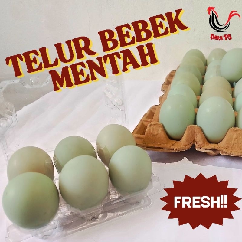 

Telur Bebek Mentah/ Telur Bebek Omega/Telur Bebek Fresh