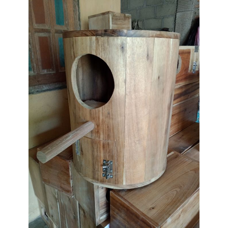 glodok bulat diameter sunconour gofin hans macaw Parrot small