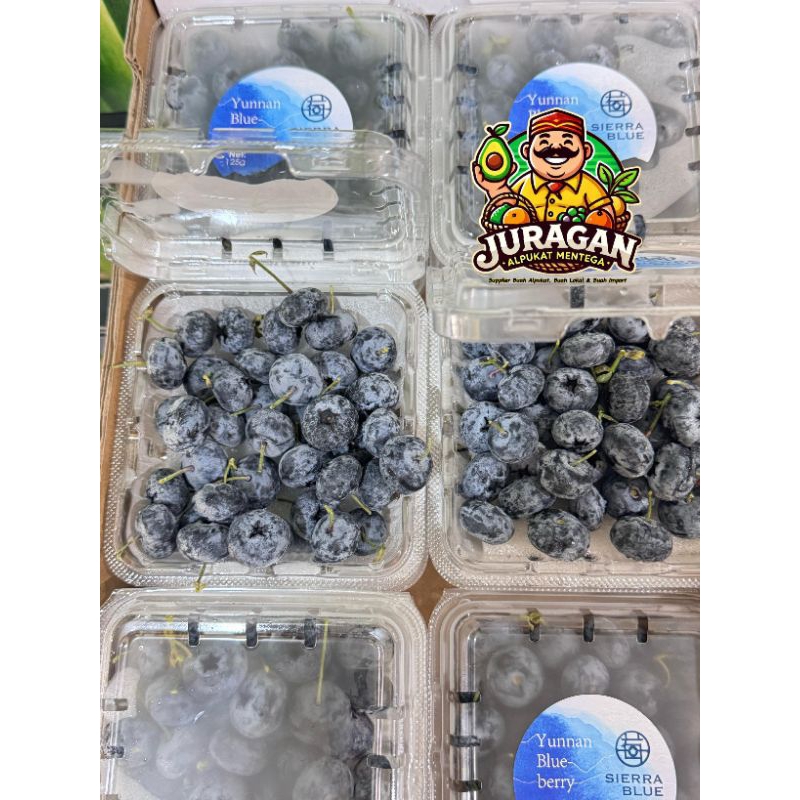 Blueberry Import Fresh / Buah Blueberry Segar