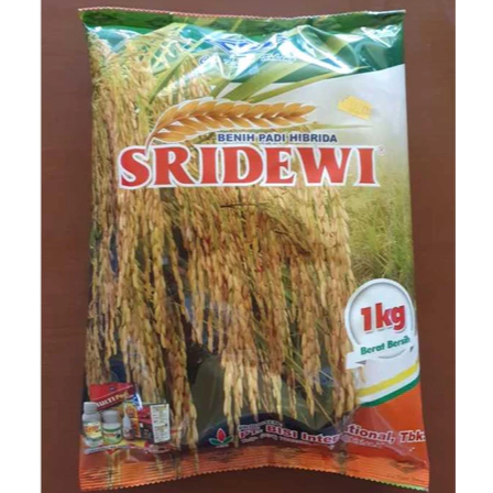 Benih Padi Hibrida SRIDEWI Kemasan 1kg Cap Kapal Terbang