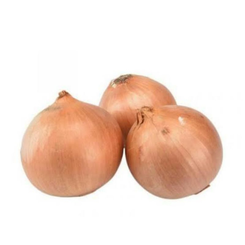 

bawang bombai cincang halus per 1kg