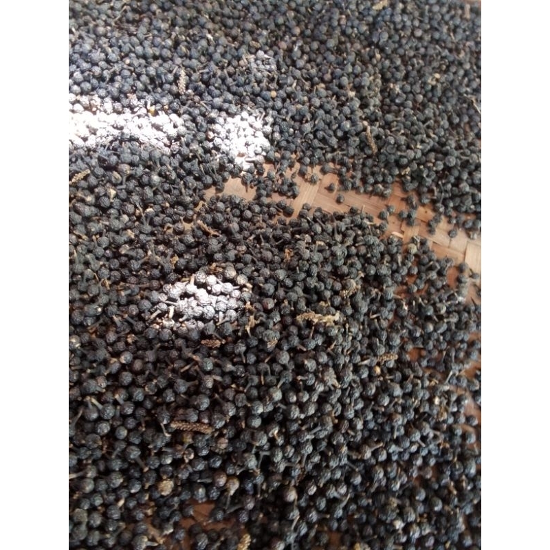 

Buah rinu biji rinu tanaman herbal biji herbal/100gram/Nur'falisha oll shopp