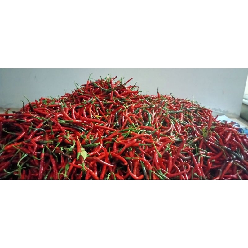 

cabe keriting 500 gram