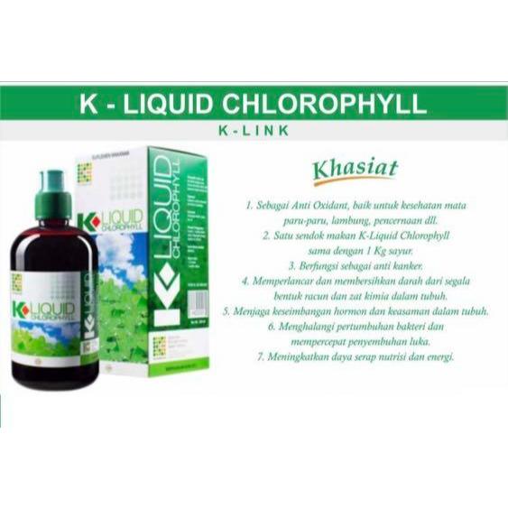 Chlorophyll Plus Fresh Mint Flavor Synergy 730 ml | Klorofil Liquid klink - Exp : 2026