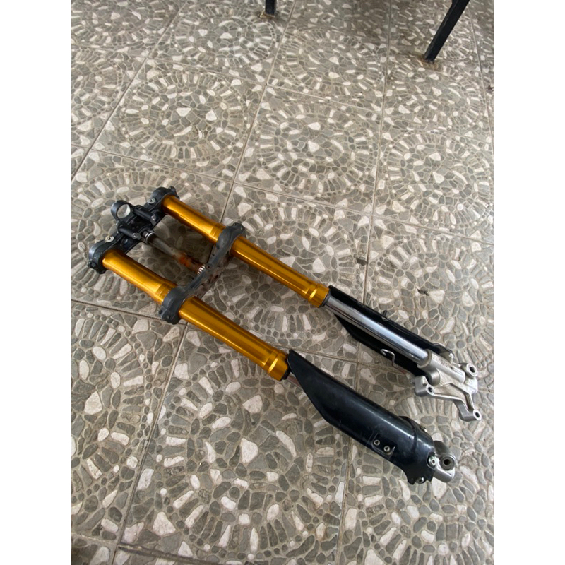 shock usd dtracker gold 2021 original