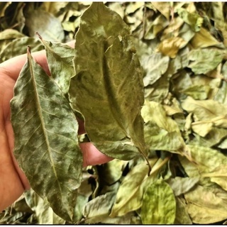

Daun Salam Kering 1kg Kualitas Bagus