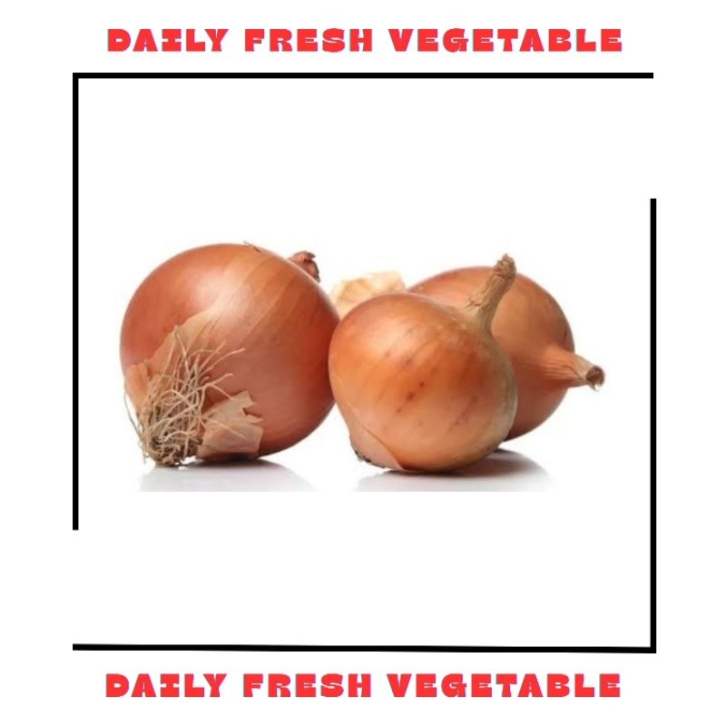 

Bawang Bombay Fresh 250gr