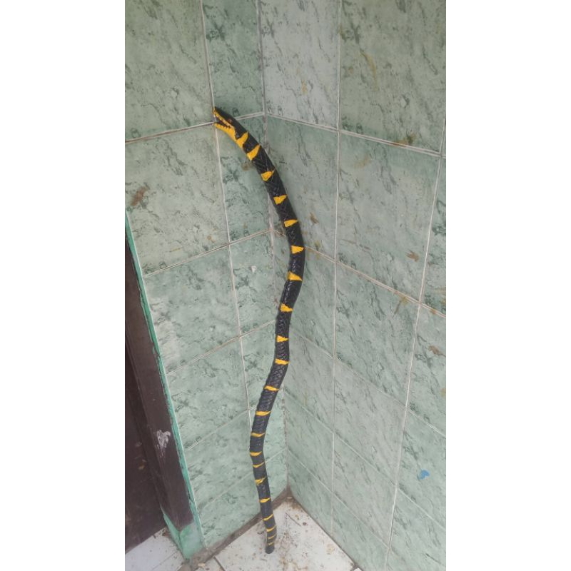 tongkat ular weling cincin emas ukiran kayu