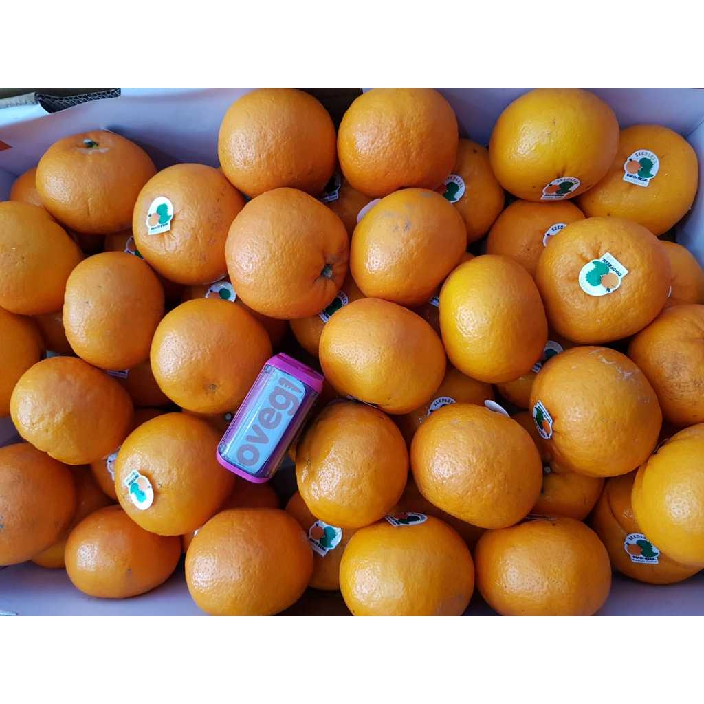 

JERUK WOGAN DINO/JERUK SUPER WOGAN/JERUK 1 PCS/JERUK WOGAN 1 PCS