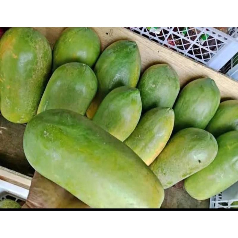 

pepaya kalifornia 1buah