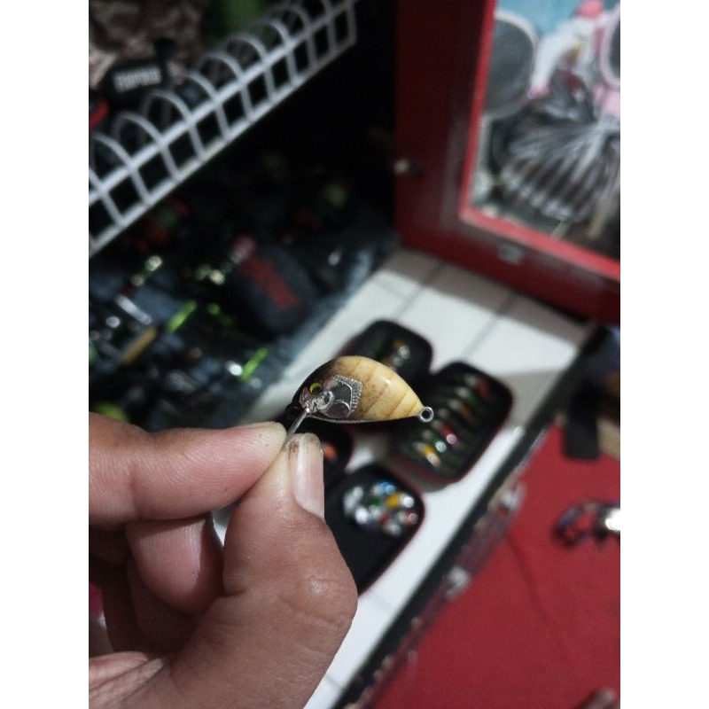 minnow NBR mahseer