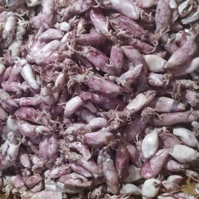 

cumi sotong asin 1kg ukuran kecil