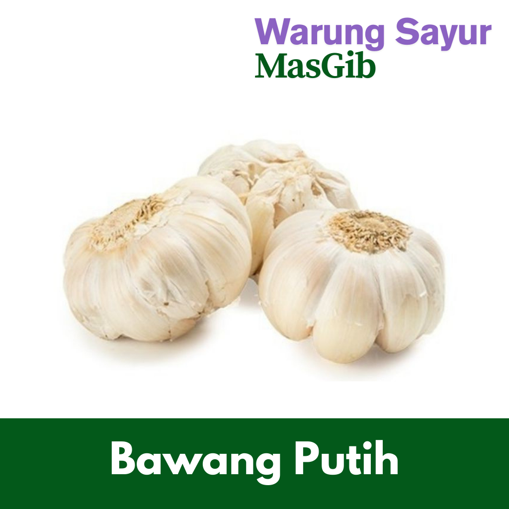 

Bawang Putih
