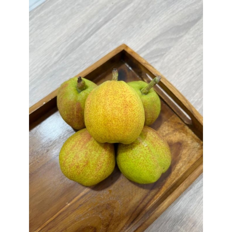 

Pear Xianglie