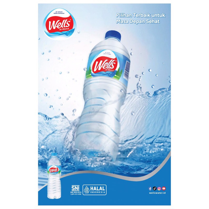 

Air Mineral Wells 600 ml