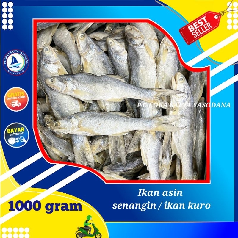

ikan asin kuro / senangin bulat khas sumatera 1000gram / 1 kg