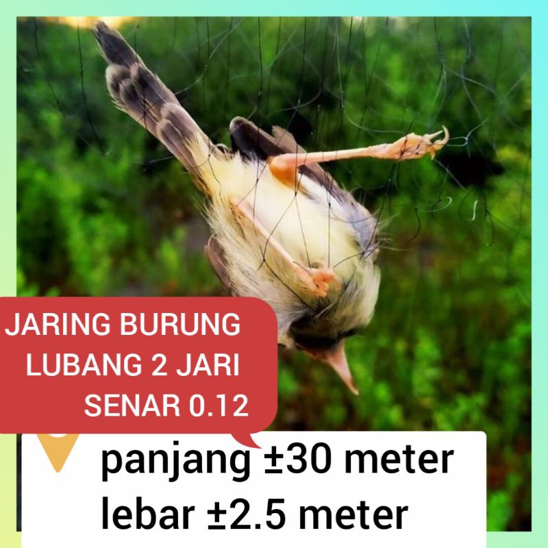 jaring burung kecil 2 inch panjang ± 30 meter lebar 2.2 meter jaring hitam senar 0.12 jaring burung 