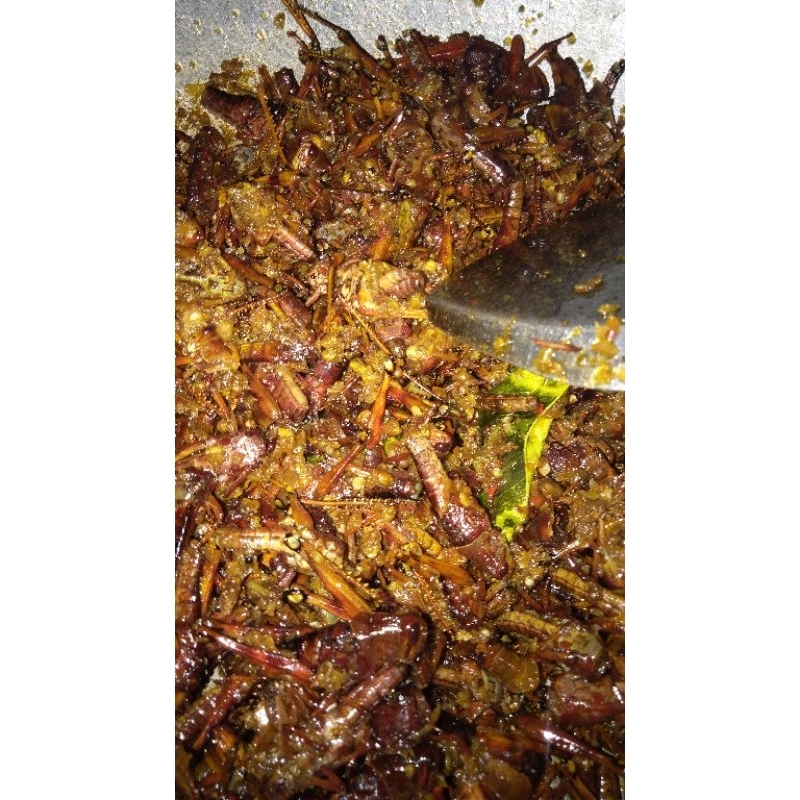 

walangkayugoreng