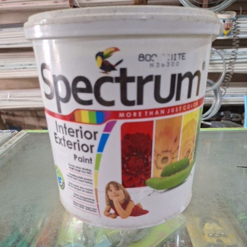 Cat Tembok Exterior Interior Spectrum 5kg