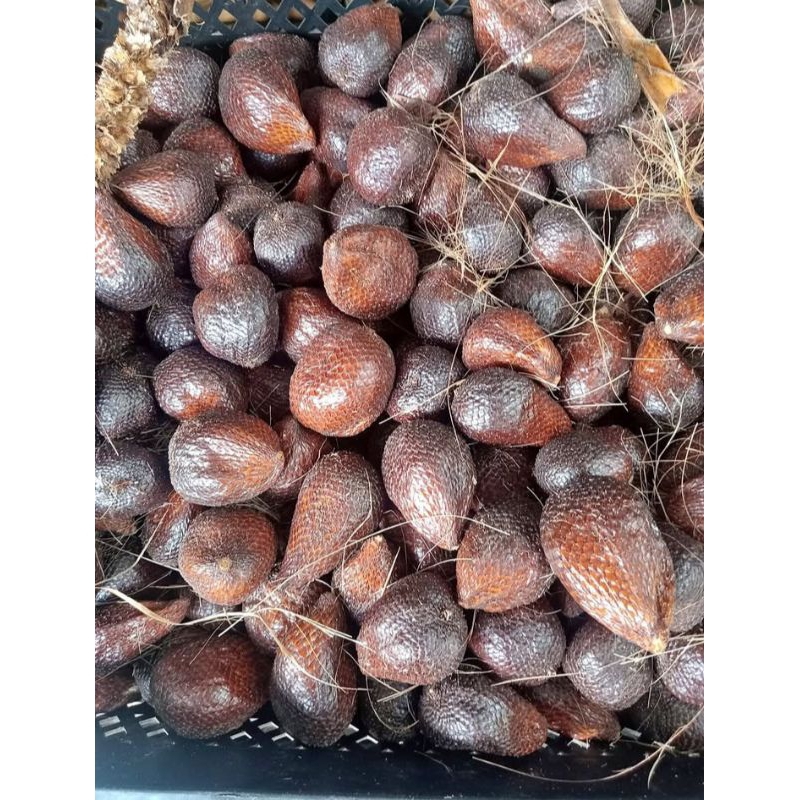 

buah salak 1kilo