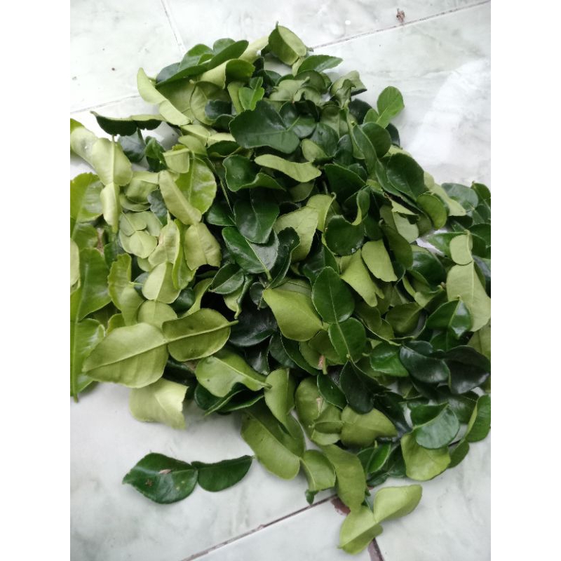 

daun jeruk purut