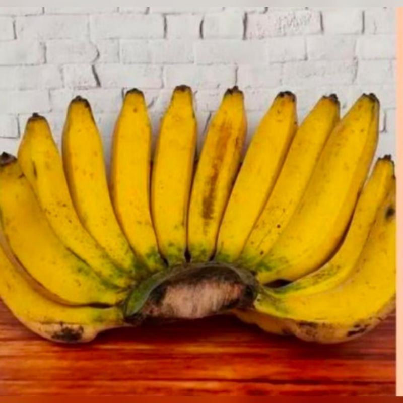 Pisang Raja Super Suluhan
