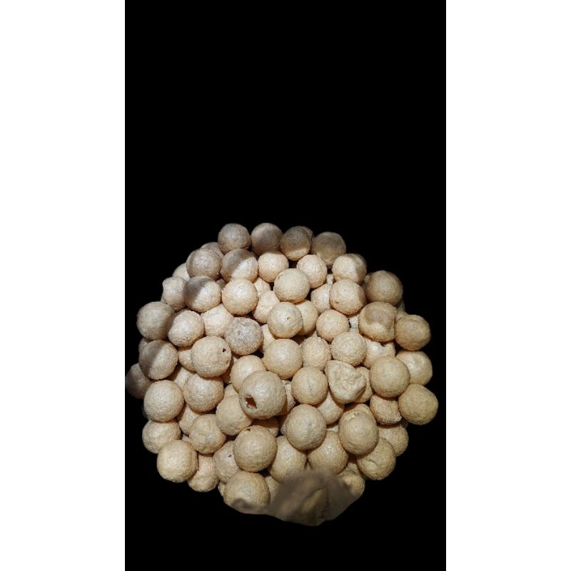 

Tahu Bulat Mini Gurih Renyahl 1.85kg