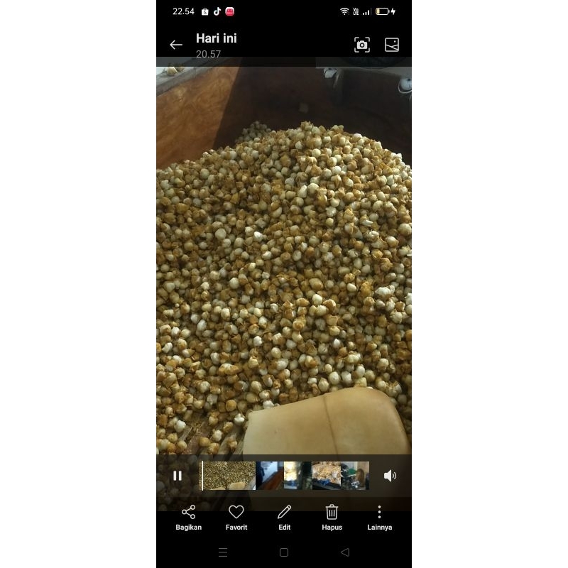 

cuangki / siomay mini 5kg