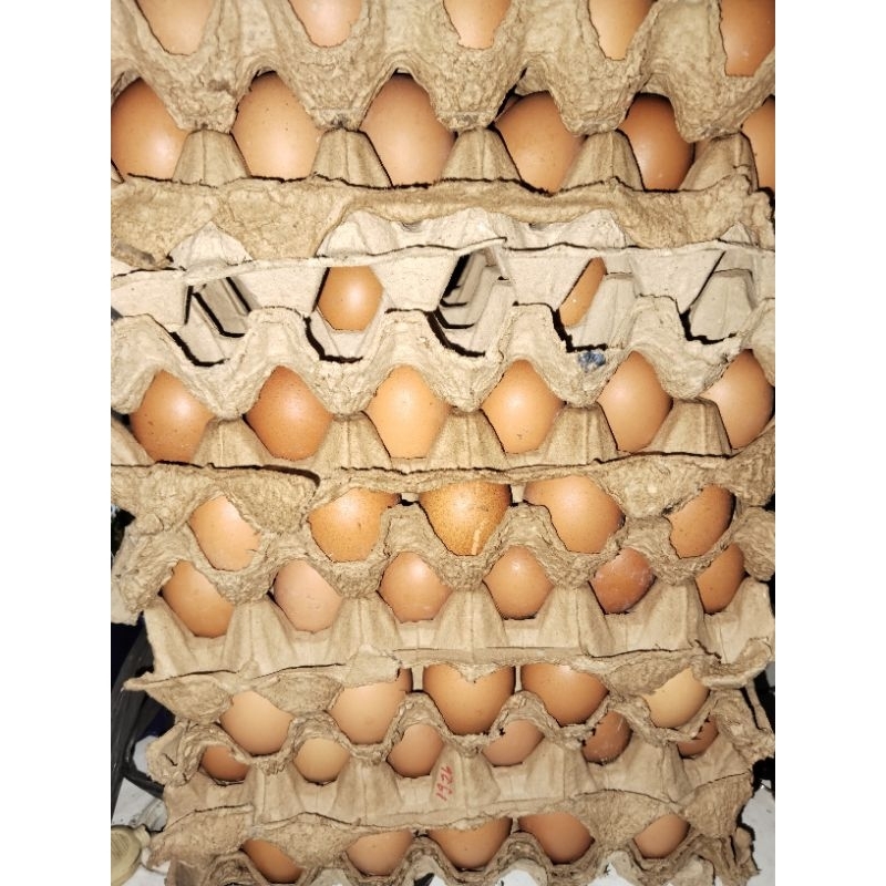 

Telur Ayam Negri Fresh baru setiap harinya