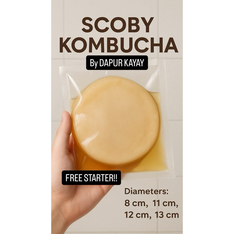 

Premium Scoby Kombucha Free Starter by Dapur Kayay