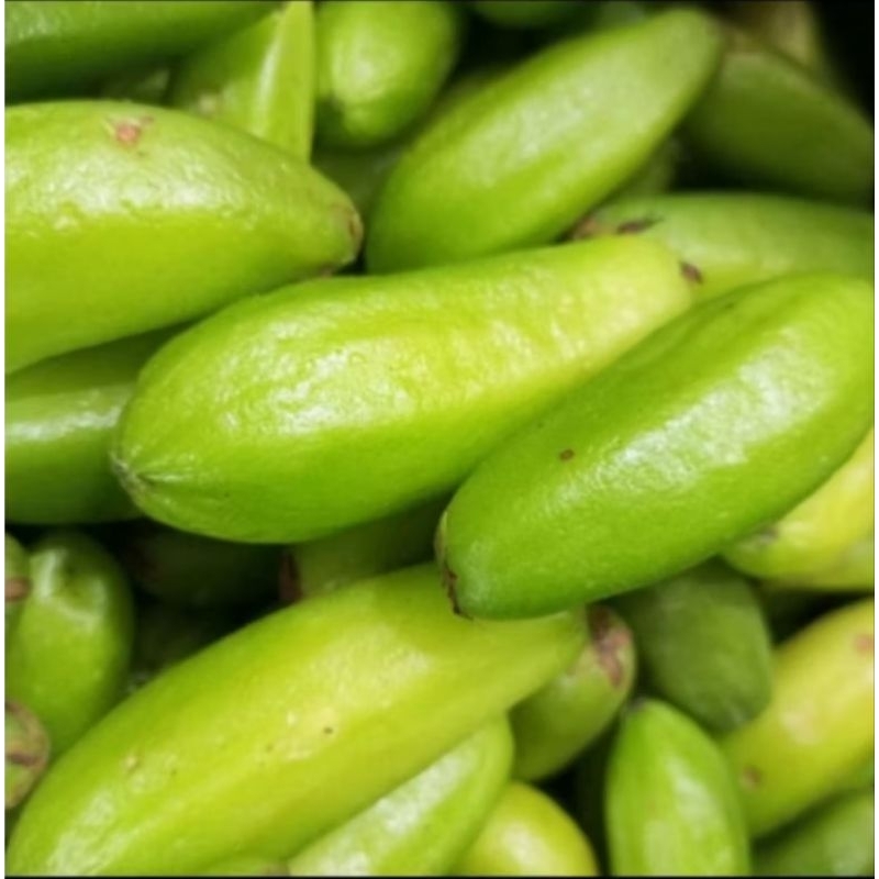 

Buah Blimbing Wuluh fress kebun pribadi