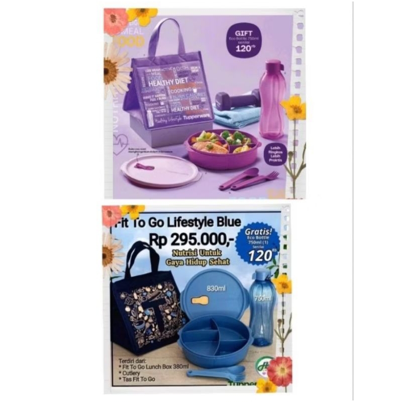 Fit To go set tupperware / tempat bekal set tupperware / fit to go lifestyle