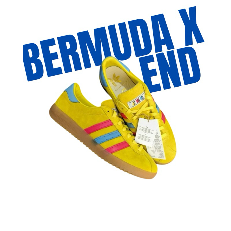[YSCOOID] ADDS BERMUDA X END