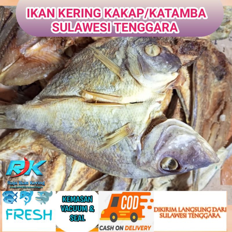 

Ikan Kering Kakap/Katamba 1 kg Asli Sulawesi Tenggara