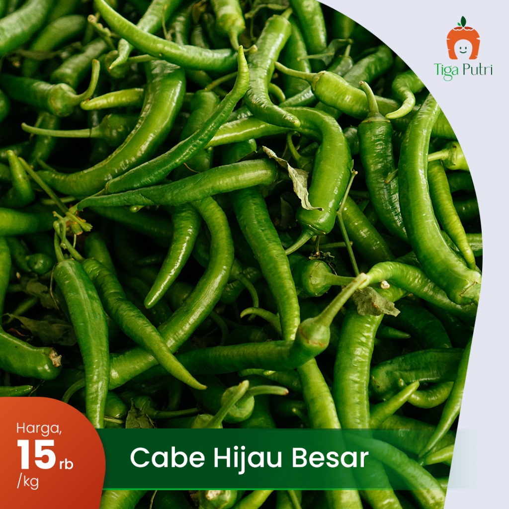

CABAI HIJAU BESAR HIJAU DAN PEDAS PAS