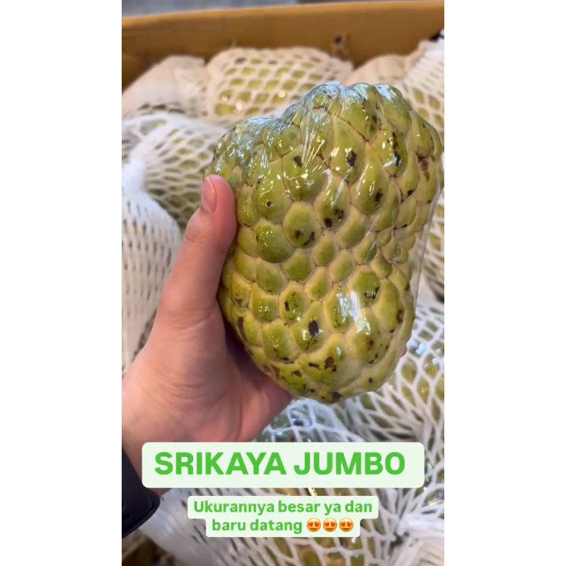 

Buah srikaya jumbo