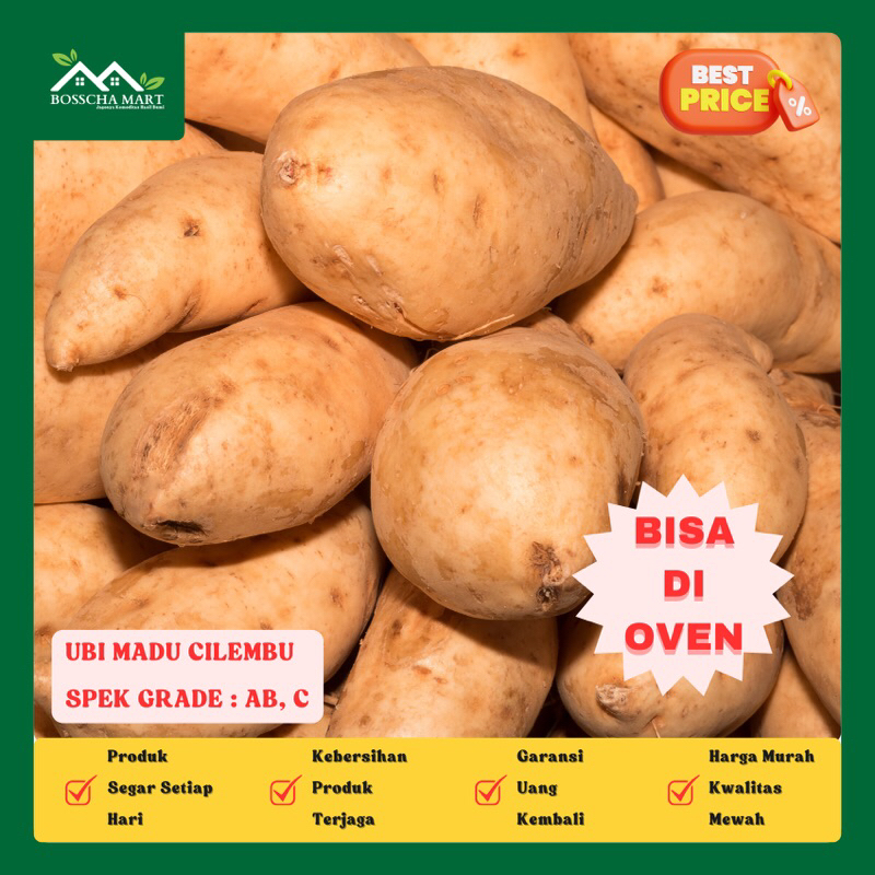 

Ubi Cilembu Spek AB, C Super - Ubi Madu Cilembu Spek Oven