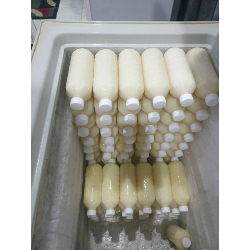 susu kambing 100% murni