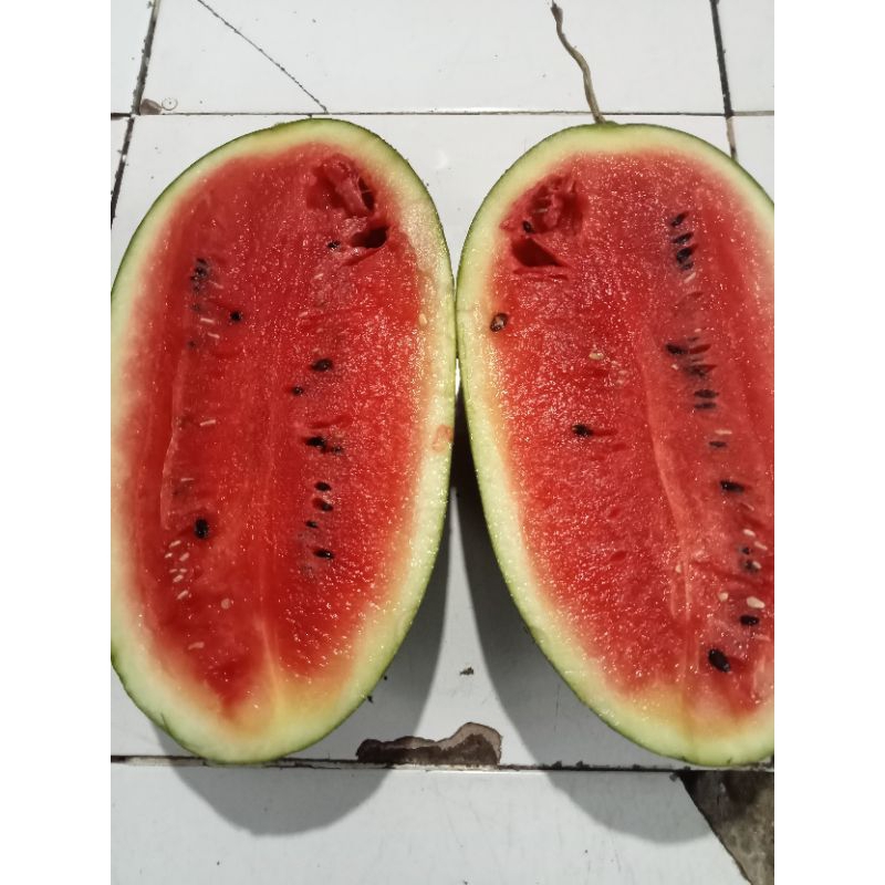 

semangka lonjong semngka panjang merah matang perkilo gram