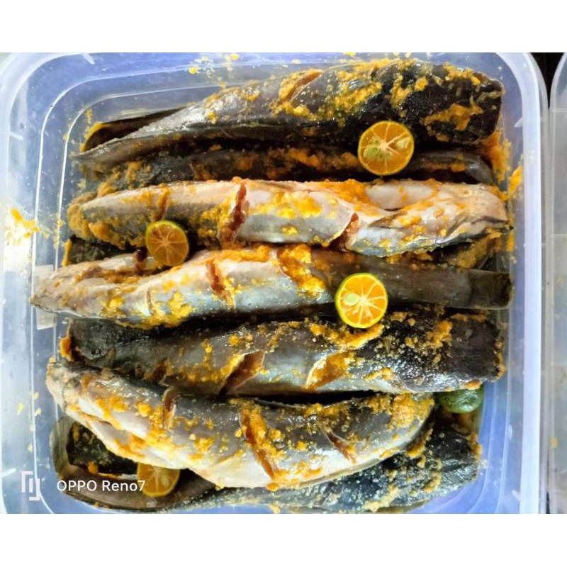 

Ikan Lele Bumbu Frozen - Gurih & Renyah!