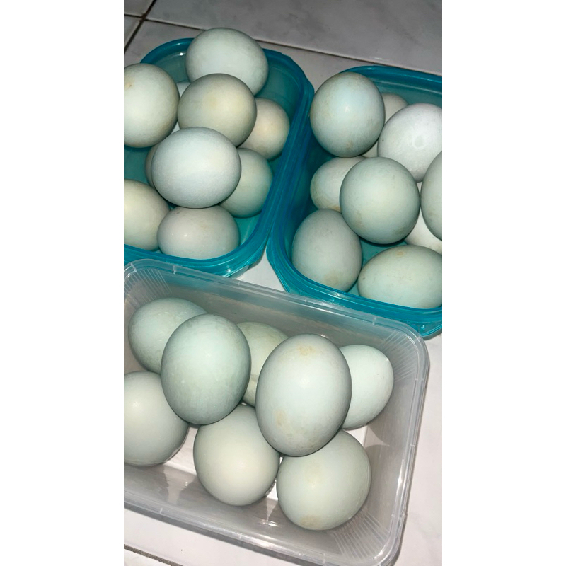 

Telur Asin