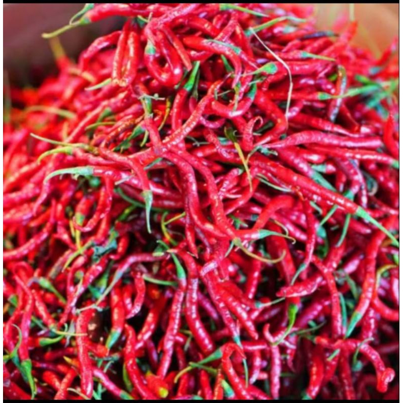 

cabe merah keriting 250 gram