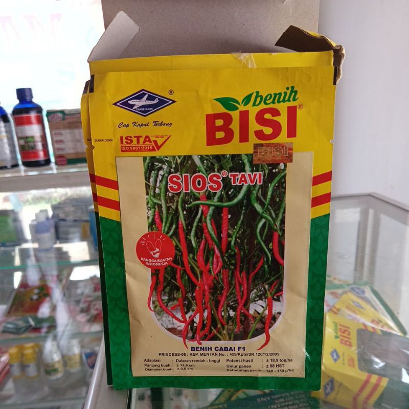 Benih Cabai Sios Tavi