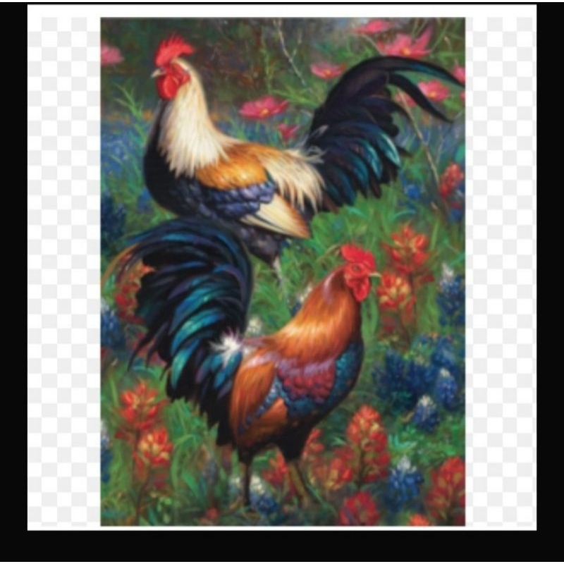 DIY PAKET KRISTIK AYAM JAGO DAN BUNGA FULL CROSS STITCH KIT 14CT POLAKAIN 11CT