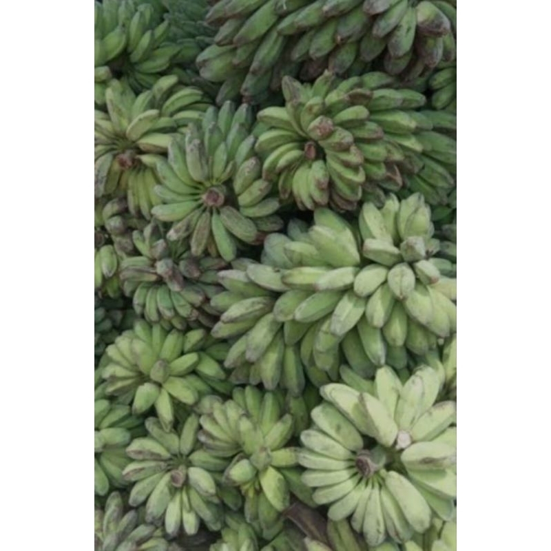 

pisang kepo/mentah 1kg siap kirim