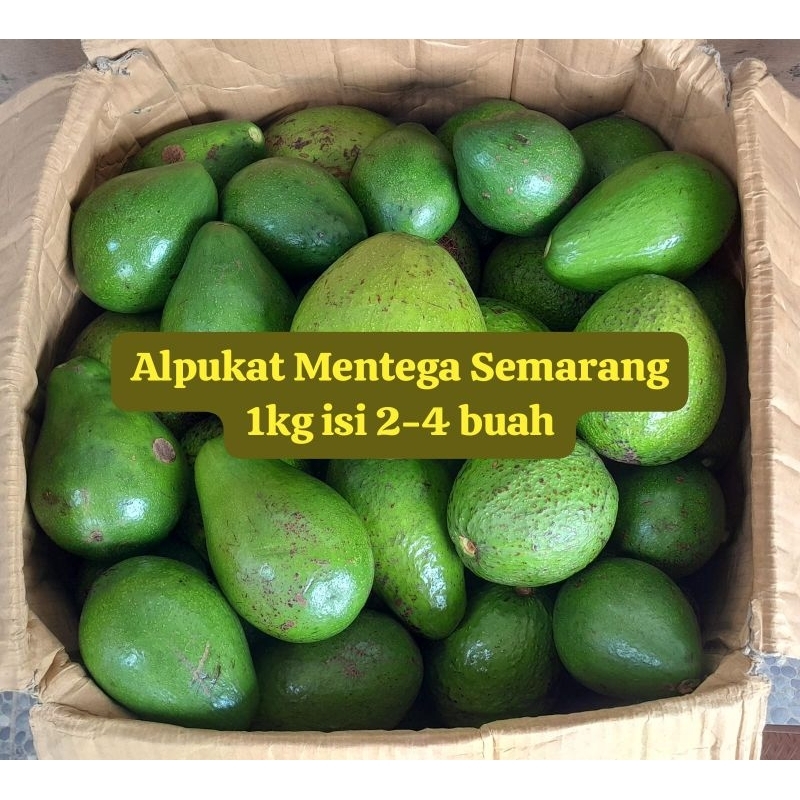 

Alpukat Mentega 1kg