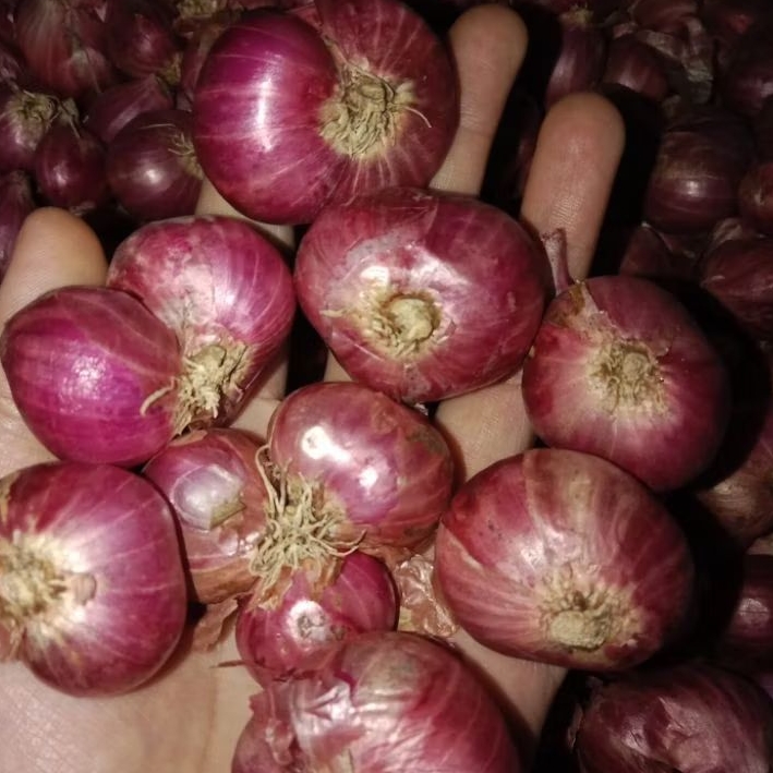 

½ kg bawang merah super