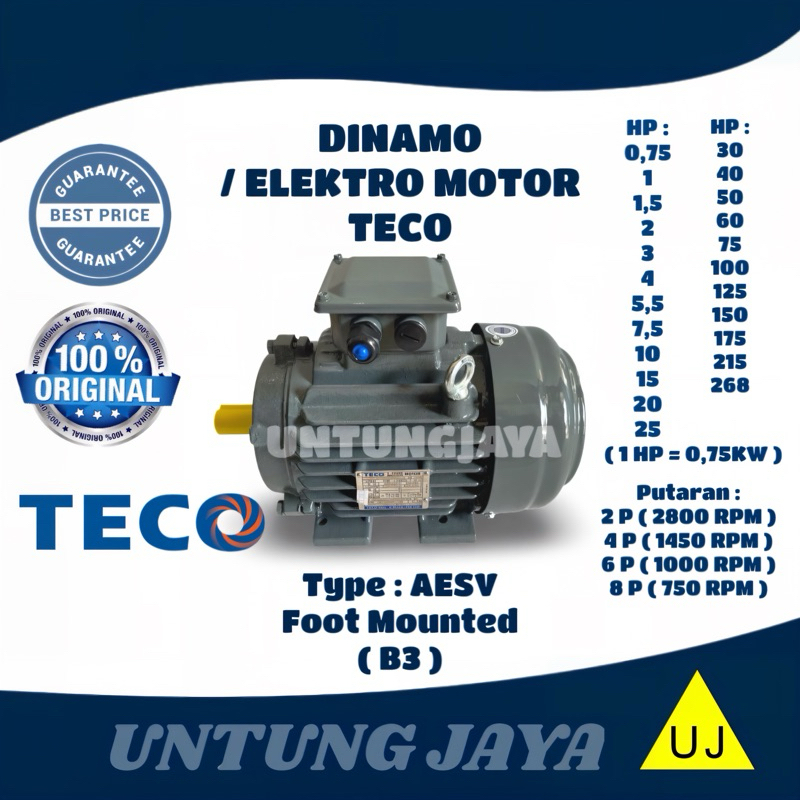 DINAMO ELEKTRO MOTOR TECO 3 PHASE AESV 20 HP 15 KW 4 POLE 1500 RPM / ELEKTRIK MOTOR TECO 3PHASE AESV