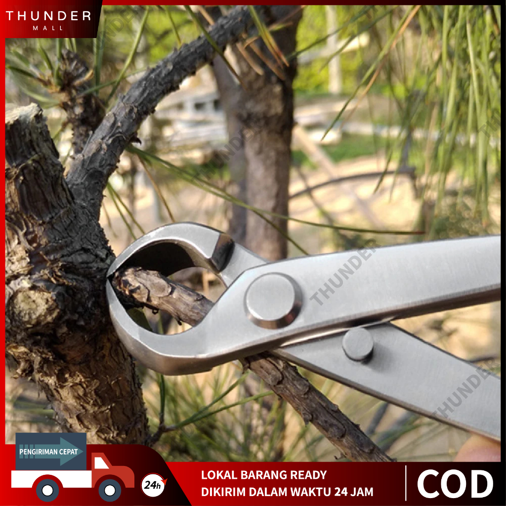Gunting Dahan Pemotong Catok Bonsai Cembung 210mm Cabang Pohon Berkebun Tanaman Hias